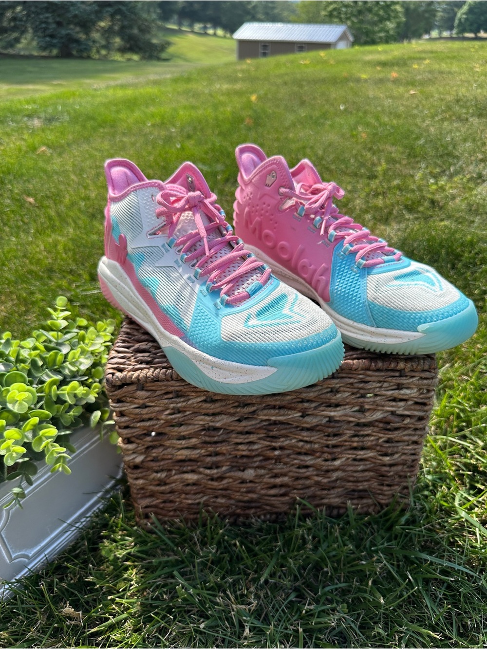 Moolah cotton candy pink Kicks Neo Volt Pro 3 Sneakers